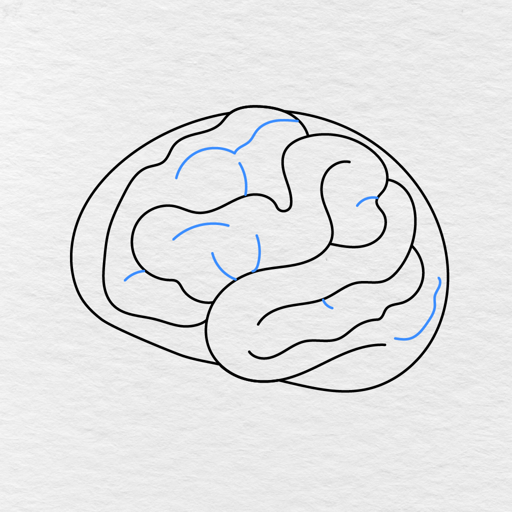 Step 7 Showing Smaller Curved Lines Added Inside The Main Brain Folds.