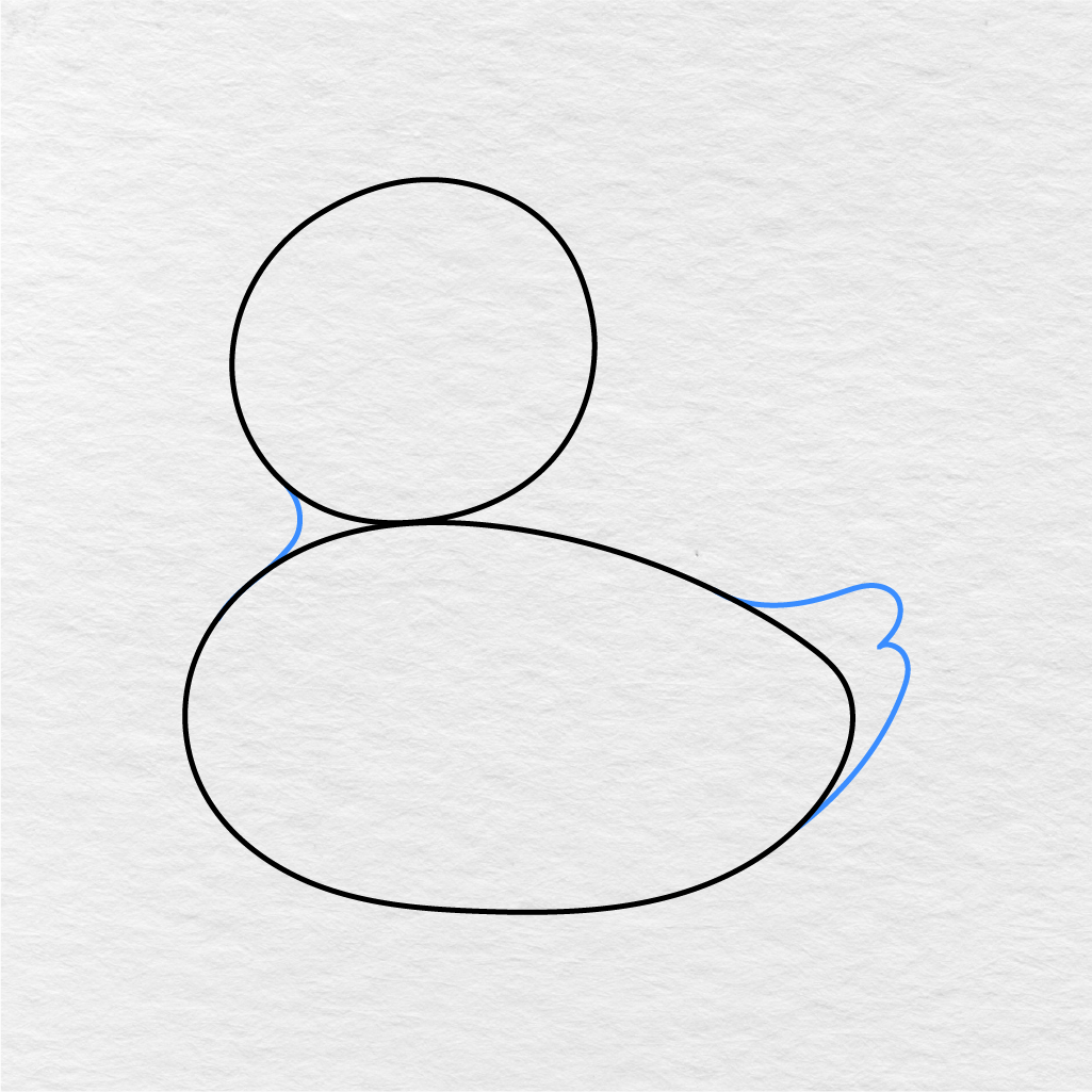 Step 2 Showing How To Draw A Duck With The Body Outline, Neck, And Small Tail Added.