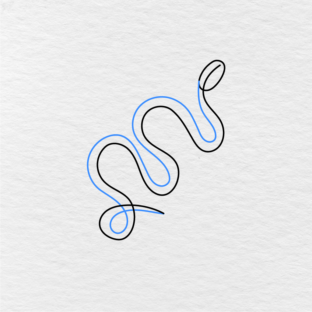 Step 3 Showing How To Draw A Snake With The Full Curvy Body Outline.