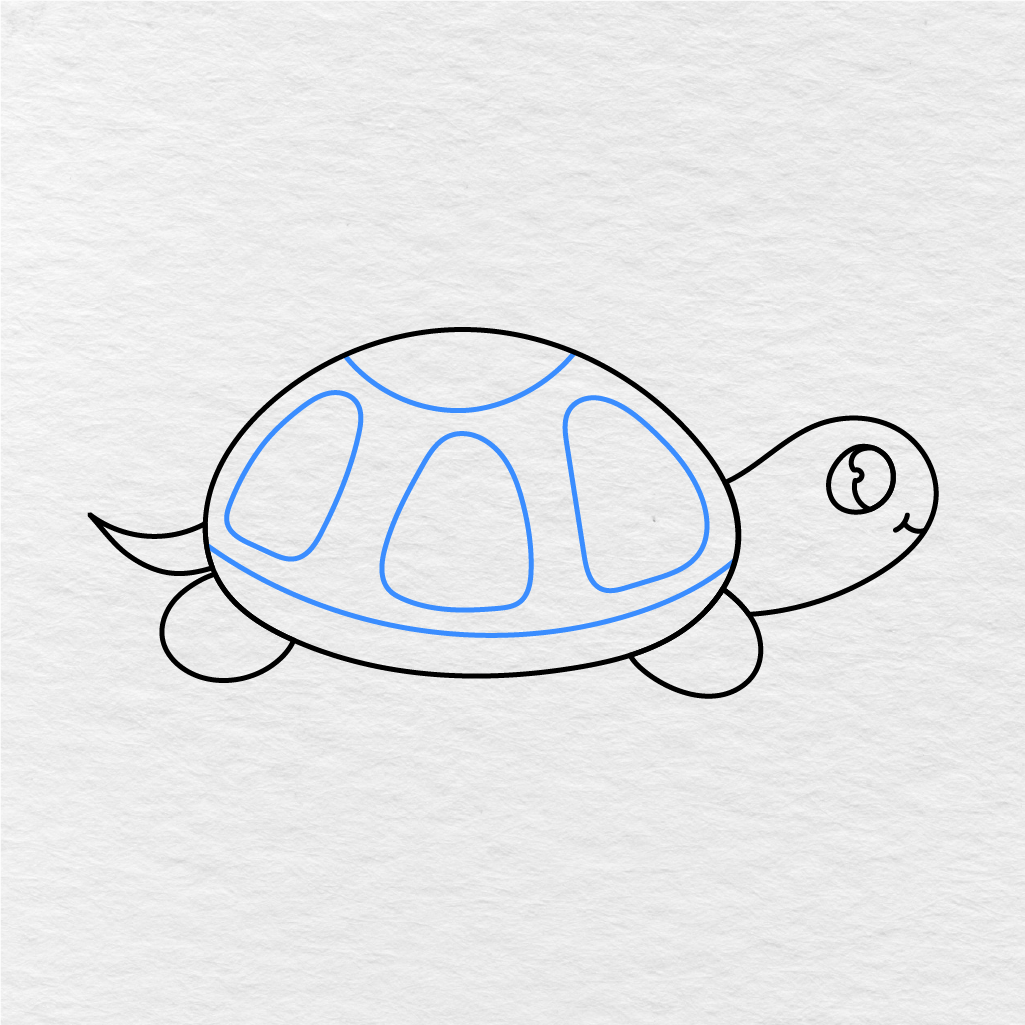 Step 6 Showing How To Draw A Turtle With Curved Shell Details Added.