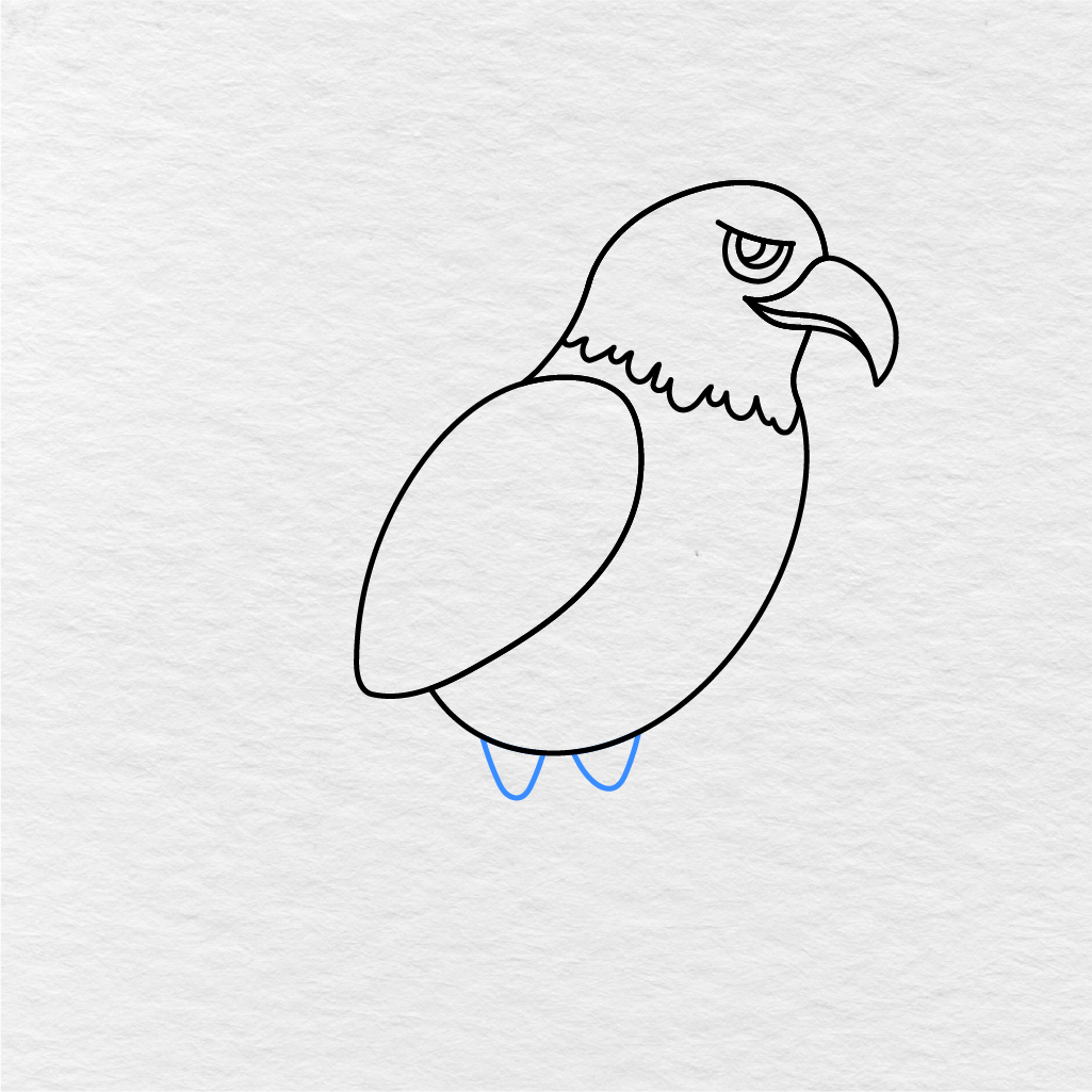 Step 7 Showing How To Draw An Eagle With Two Small Legs Under The Body.