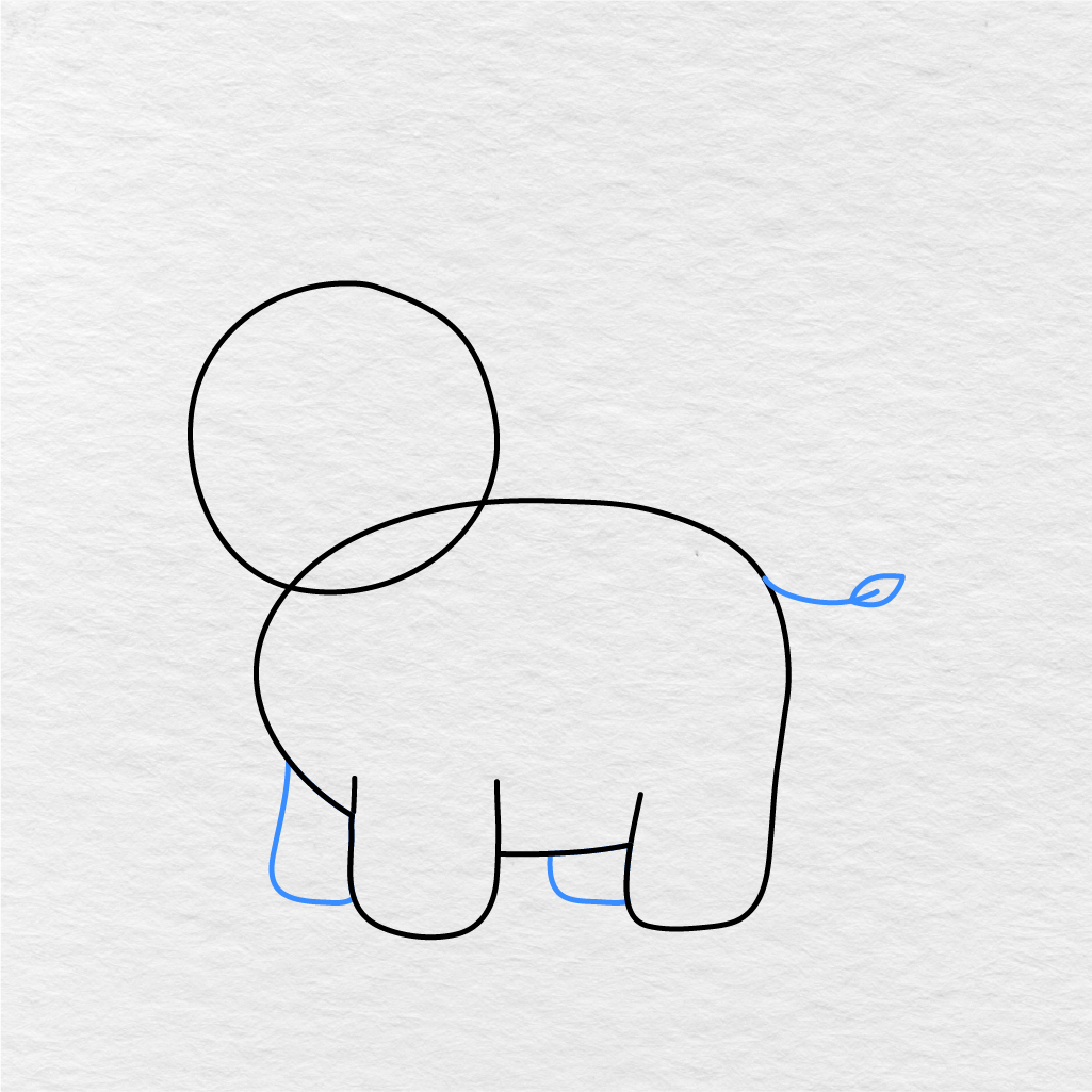 Step 4 Showing How To Draw An Elephant With The Back Legs And Small Tail Added.