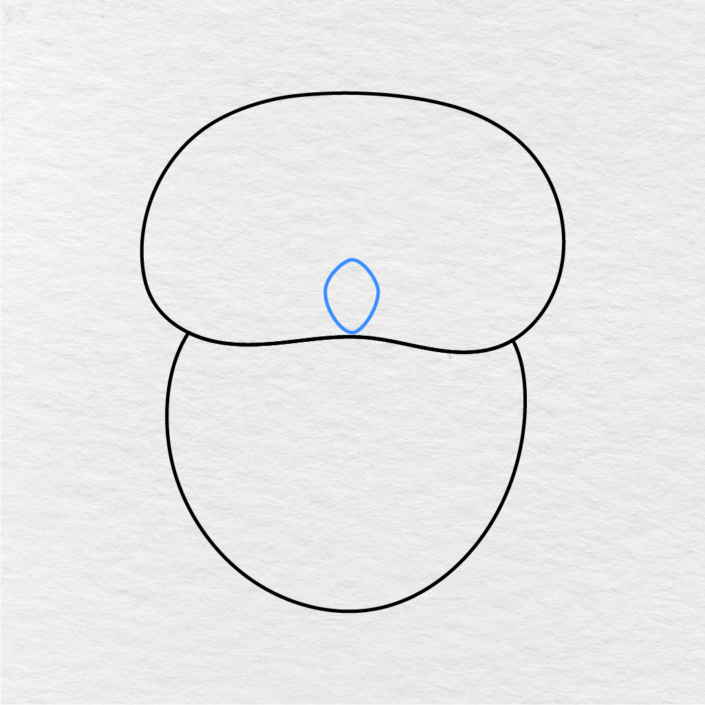 Step 3 Showing How To Draw An Owl With A Small Beak In The Center Of The Face.