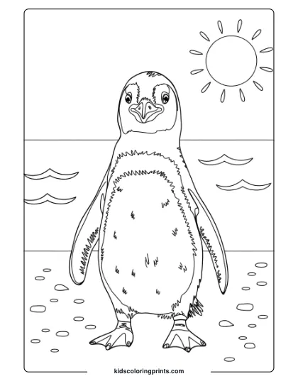 African Penguin On A Sunny Beach With Gentle Waves, Perfect For A Relaxing, Nature-Themed Coloring Page.