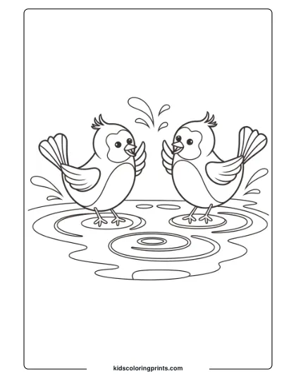Birds Splashing In A Puddle, Perfect For A Playful And Interactive Bird Coloring Page For Kids.