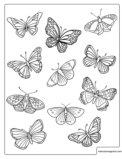 Butterflies Coloring Page With Multiple Butterfly Designs