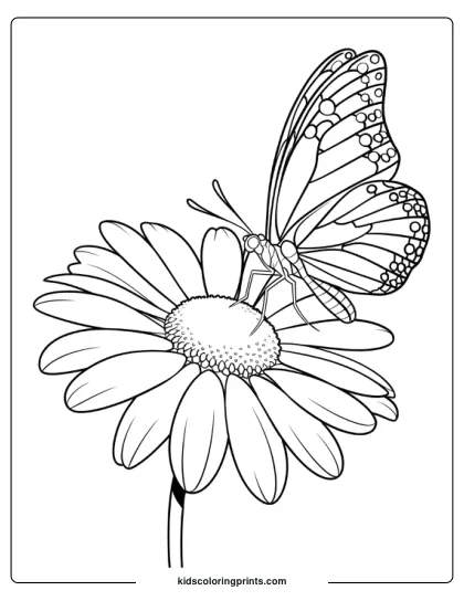 A Butterfly Perched On A Large Daisy, With Intricate Patterns On Both The Butterfly And Flower.