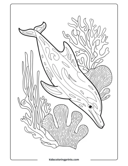 A Detailed Dolphin With Intricate Coral, Perfect For A Detailed And Artistic Coloring Page.