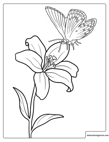 Easter Lily And Butterfly On A Blooming Flower Coloring Page