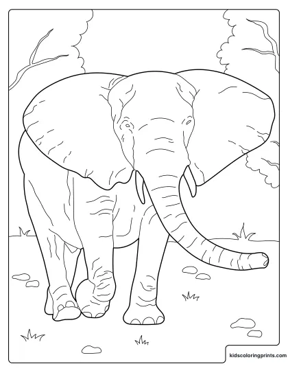Elephant Coloring Page Showing A Big Elephant Walking Between Trees In Nature.