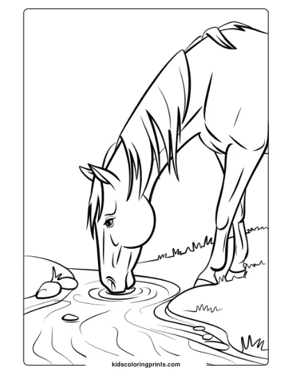 A Horse Drinking From A Stream, Creating A Tranquil Nature-Themed Coloring Page.
