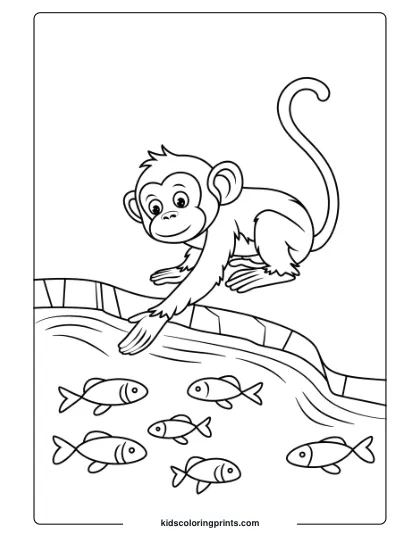 Coloring Page Of A Curious Monkey Observing Fish In A Stream, Reaching Out With A Sense Of Wonder.