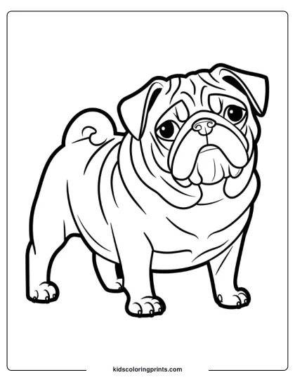 Pug With A Wrinkled Face Tilting Its Head In A Dog Coloring Page.