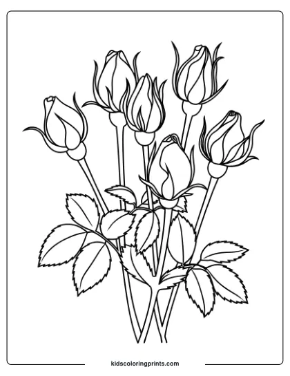 Coloring Page Of A Rose Bouquet With Buds And Blooms, Showcasing The Beauty Of Roses At Different Stages.