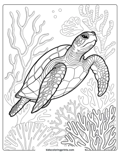 Sea Turtle In Coral Coloring Page, Capturing A Peaceful Underwater Journey With Natural Elements.