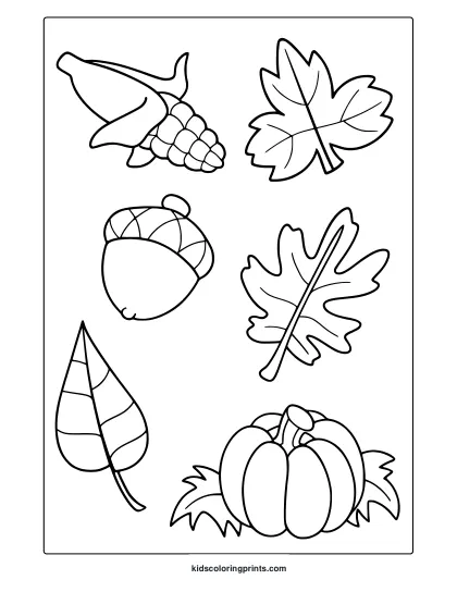 September Plants Coloring Page Featuring Maple Leaves, Grapes, Acorn, And Pumpkin In Simple Line Art.