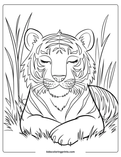 Sleepy Tiger Coloring Page With A Serene Tiger Resting In Tall Grass, Showcasing Detailed Fur And Peaceful Expression.