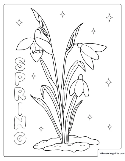 Spring Coloring Page Featuring Delicate Snowdrop Flowers Blooming Under The Early Sunshine.