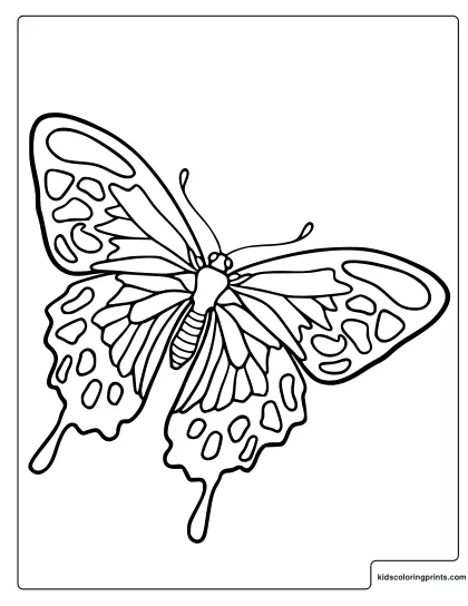 Swallowtail Butterfly Coloring Page With Open Tailed Wings