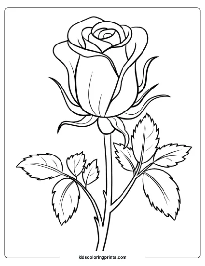 Coloring Page Of A Single Blooming Rose With Layered Petals And Leaves, Symbolizing The First Bloom Of Spring.