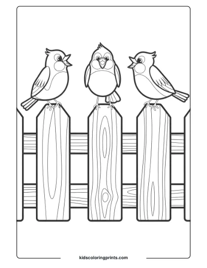 Three Birds Chirping On A Wooden Fence, Perfect For A Fun And Interactive Bird Coloring Page For Children.