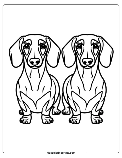 Two Dachshunds Sitting Side By Side With Droopy Ears And Expressive Eyes In A Dog Coloring Page.